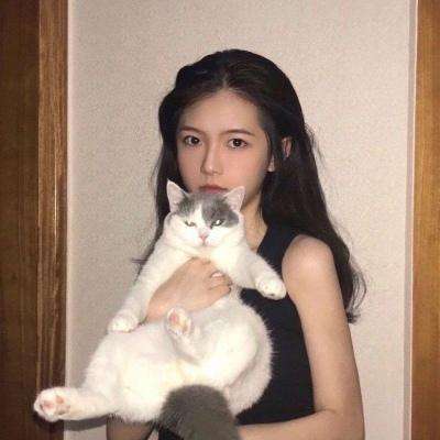貂蝉升职记最新版下载